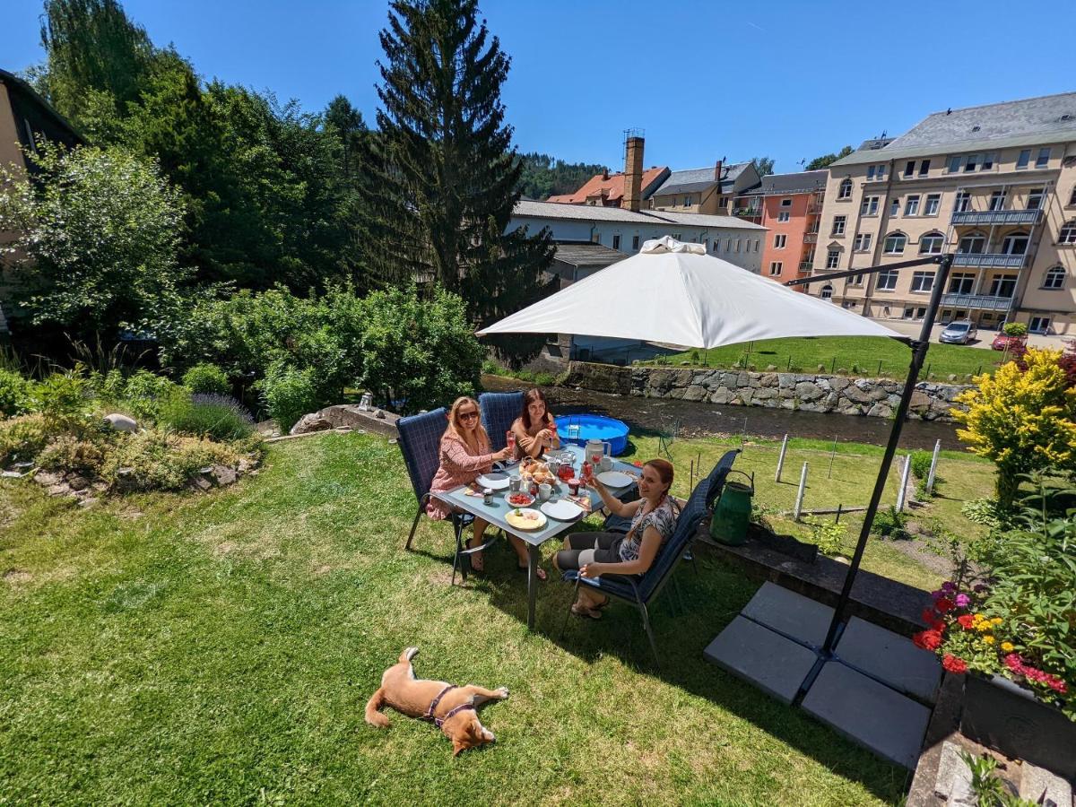 Lichtdurchflutete Helle Wohnung Mit Garten Sauna & Pool - Hw3 Sebnitz Exterior foto