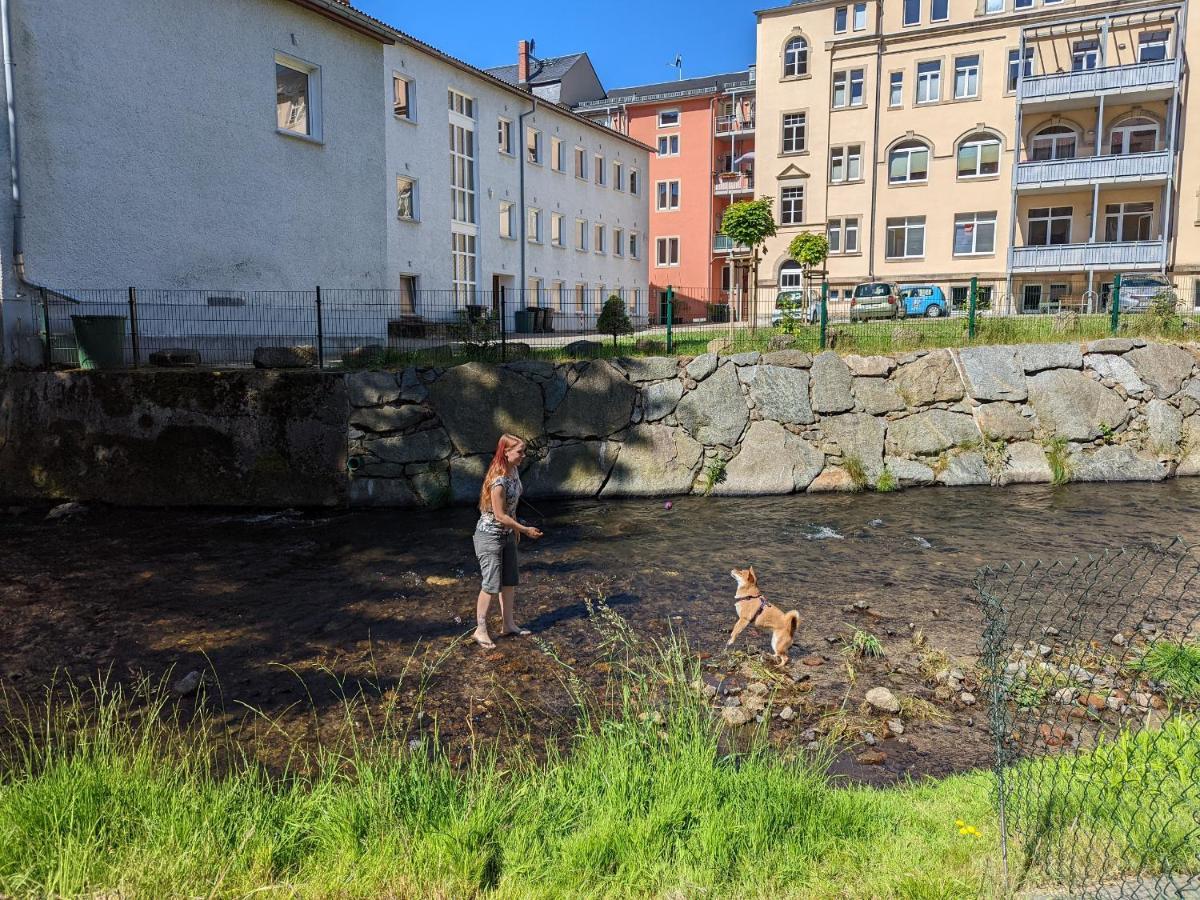 Lichtdurchflutete Helle Wohnung Mit Garten Sauna & Pool - Hw3 Sebnitz Exterior foto